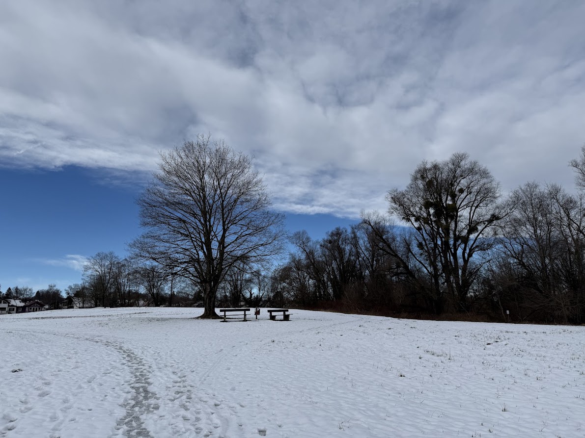 Winterliche Impression im 5-Seen-Land — verschneite Wiese