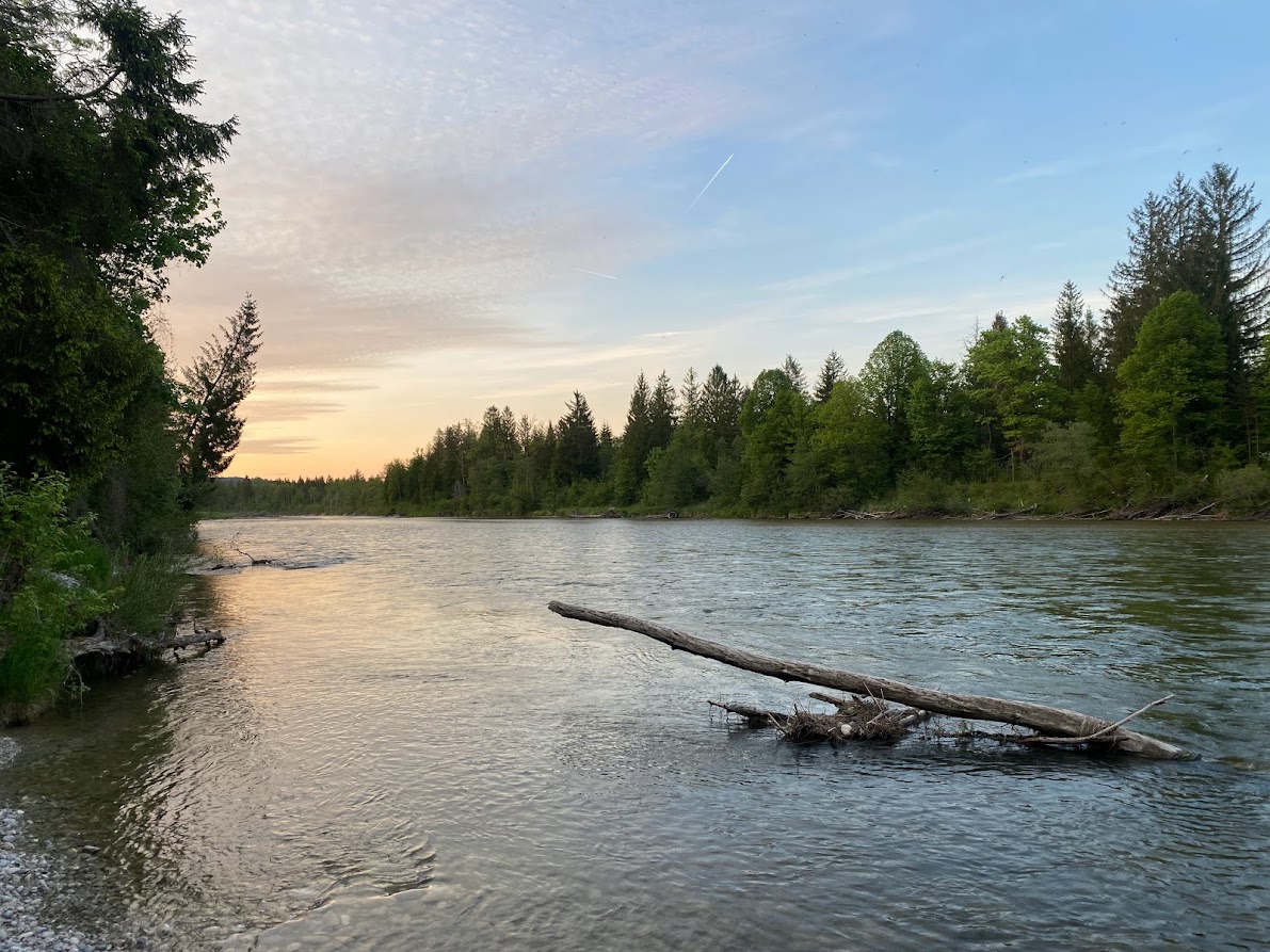 Abendlicht über der Isar